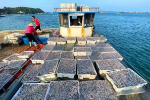 Top 5 Chợ Hải Sản Cô Tô Nổi Tiếng Nhất Trên đảo Mà Bạn Nên Biết 