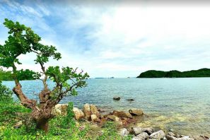 Đảo Thanh Lân Cô Tô: Tìm Kiếm Sự Thanh Bình Trên Vùng Đất Hứa
