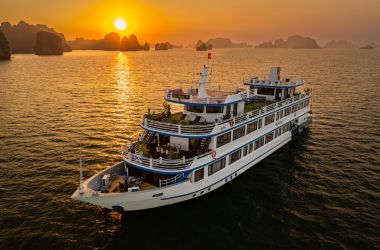 Swan Cruise Halong