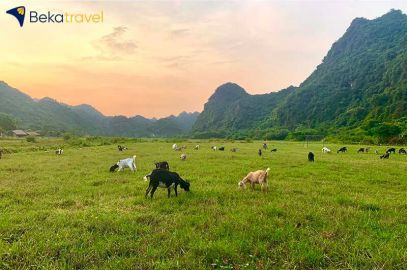 3 Days 2 Nights Discover Cat Ba Island (2 nights at jungle bungalow ) 