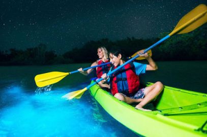 Experience The Sunset & Plankton Bioluminescent Night Kayak on Lan Ha Bay