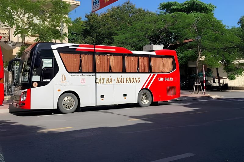 What bus services run from Hai Phong to Cat Ba
