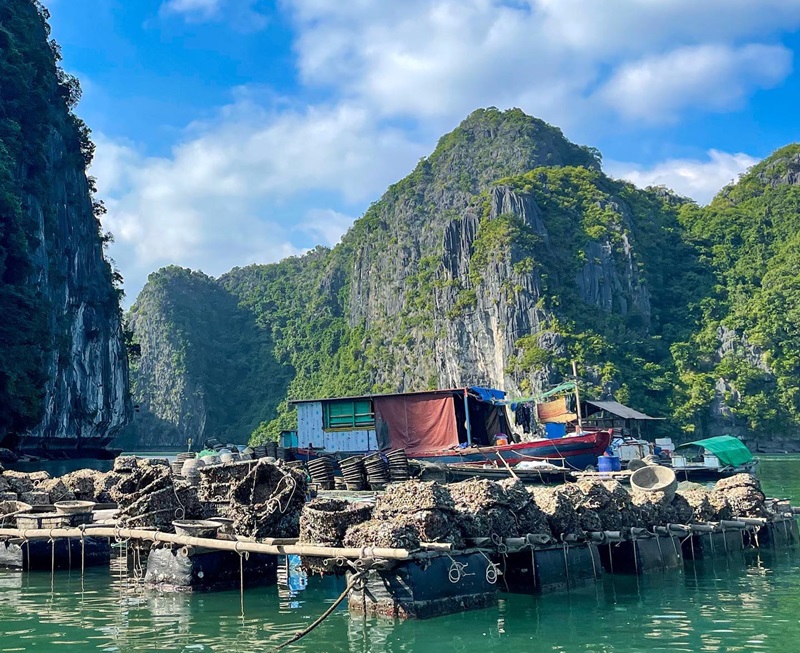 Can you visit both bays in one trip
