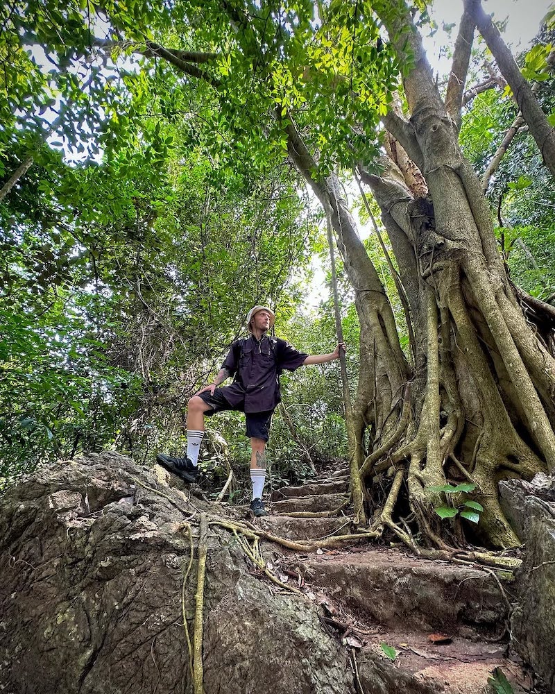 Peaceful walks through the unique Kim Giao forest Peaceful walks through the unique Kim Giao forest