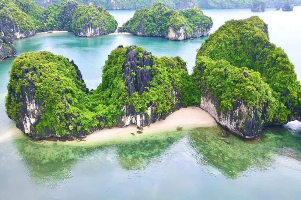 What makes Ba Trai Dao different