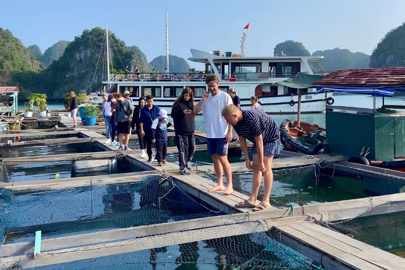 Tour tham quan vịnh Lan Hạ trong ngày