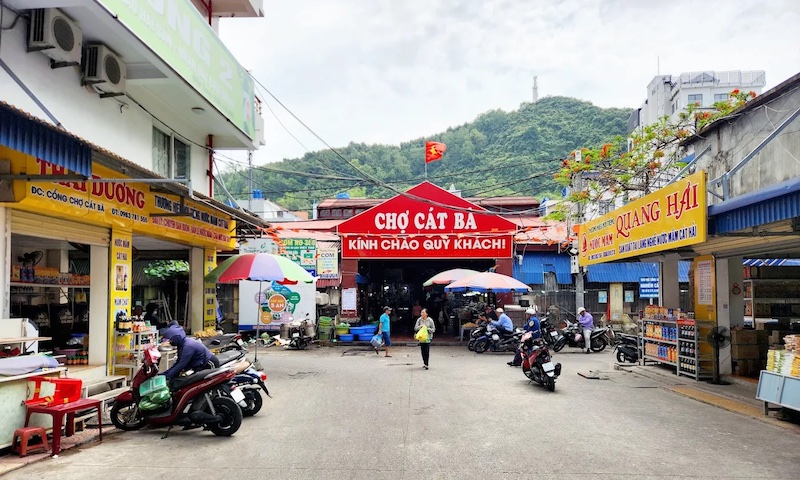 Overview of Cat Ba market the central culinary hub Overview of Cat Ba market the central culinary hub