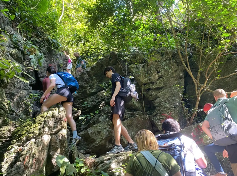 Jungle trekking safety Cat Ba specifics