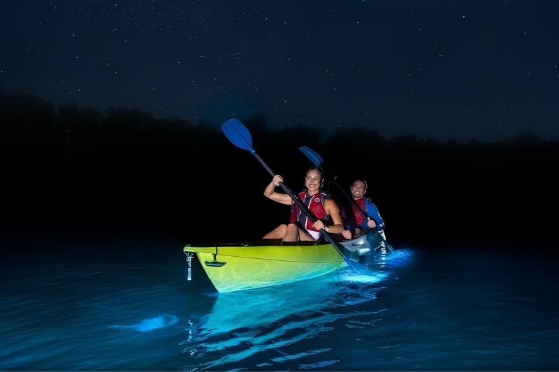 Chèo kayak đêm ngắm biển phát sáng là gì?