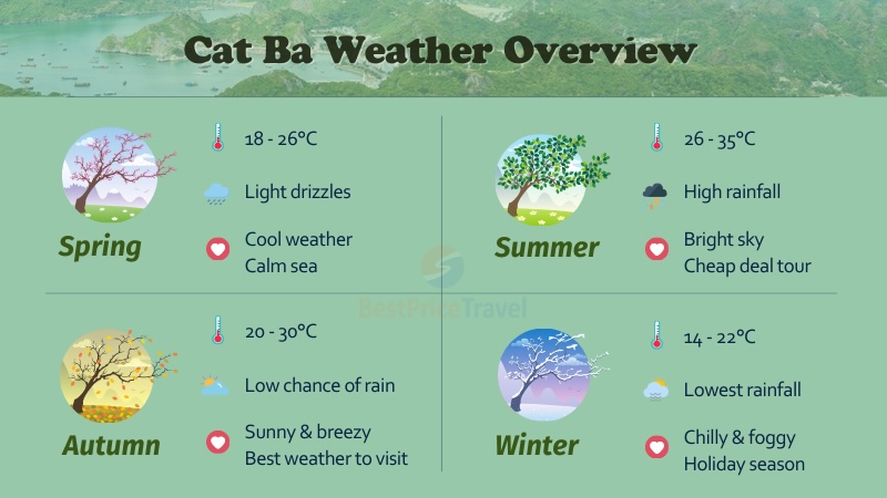 Cat Ba island's weather insight