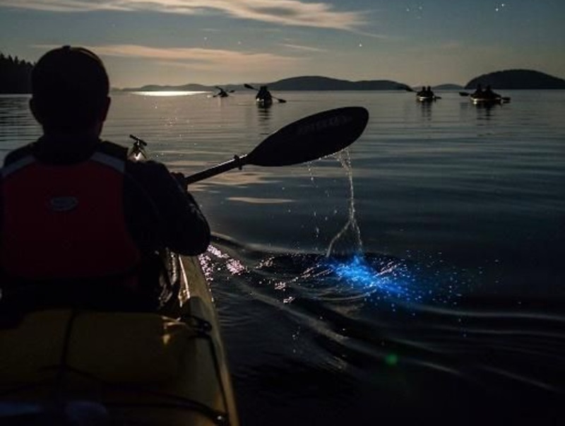 Best season and moon phase for night kayaking Lan Ha Bay