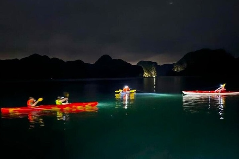 What a typical Cat Ba night tour involves