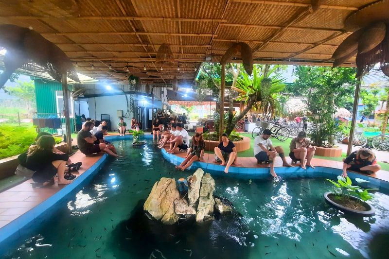 Experiencing the natural fish massage stream