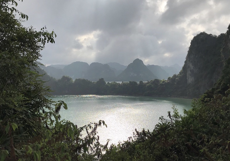Lớp vỏ nhuyễn thể hóa thạch tại Động Mê Cung