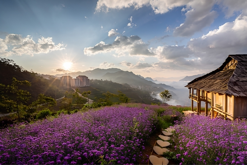 Vibrant pink and red wild Rhododendron flowers blooming gracefully against the backdrop of rugged green mountains and misty valleys on Fansipan.