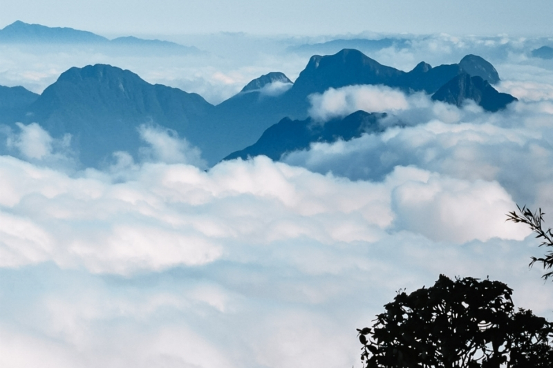 An incredible high-altitude vista from Fansipan Peak overlooking a dense, pillow-like sea of clouds illuminated by the soft golden morning sun.