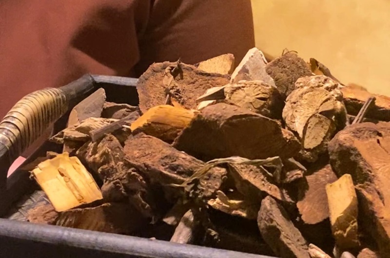 The secret ingredients of the forest