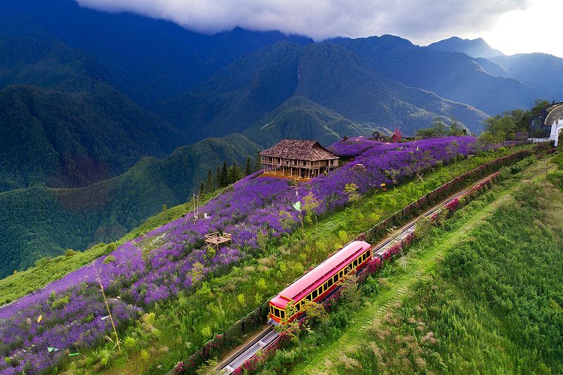 Muong Hoa Valley and Ancient Rock Field