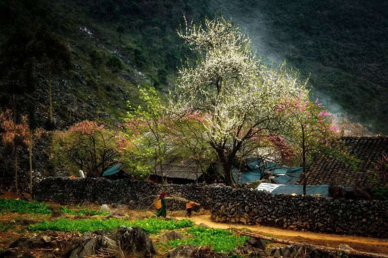 Lo Lo Chai village - Places worth stopping in Ha Giang Lo Lo Chai village - Places worth stopping in Ha Giang