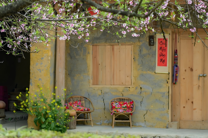 Peach blossoms in front of an earthen house in Lo Lo Chai Village in spring