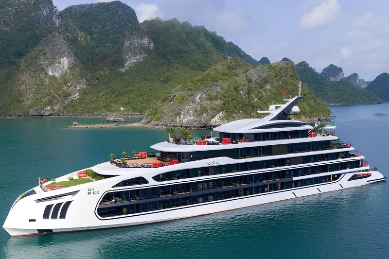 Celina Of The Sea Cruise