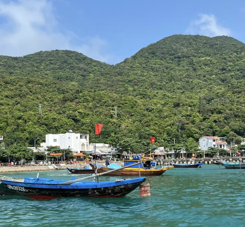 Da Nang/Hoi An: Cham Island Speedboat Tour with Snorkeling