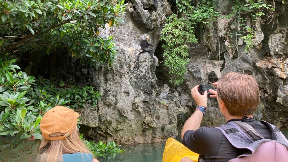 Tour Cát Bà 2 Ngày 1 Đêm – Khám Phá  Cát Bà - Vịnh Lan Hạ
