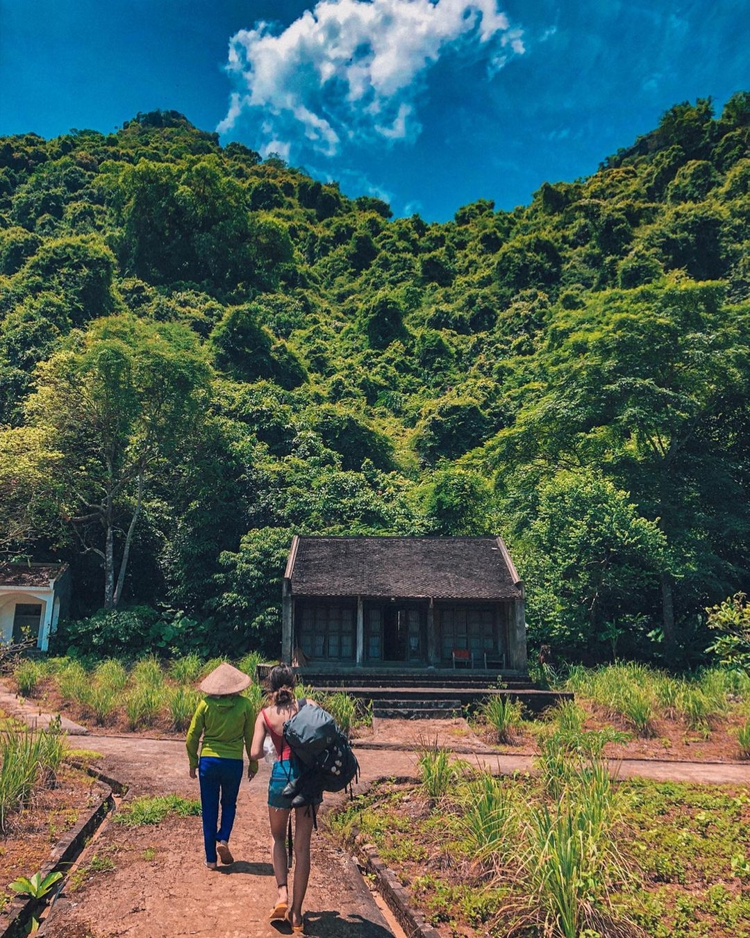 Cat Ba National Park Adventure Tour – Trekking, Cycling & Viet Hai Village