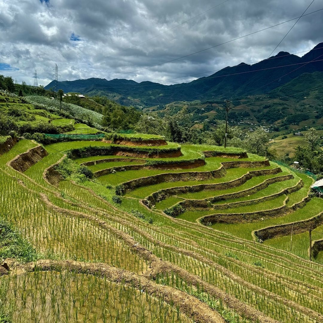 Y Linh Hồ – Lao Chải – Tả Van Half Day Trekking Tour 