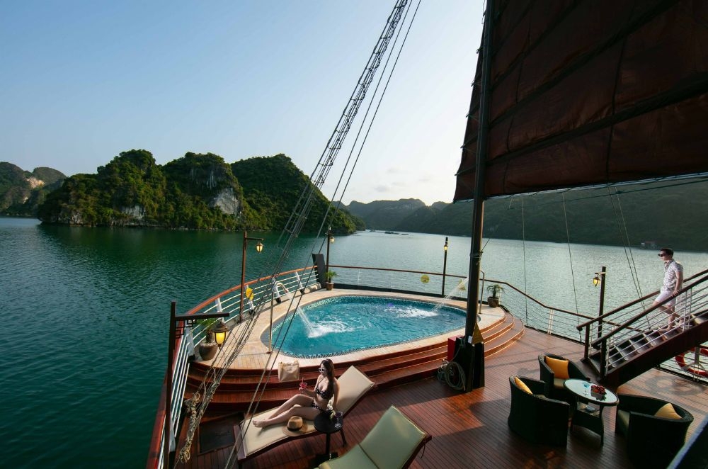 Orchid Trendy Cruise 