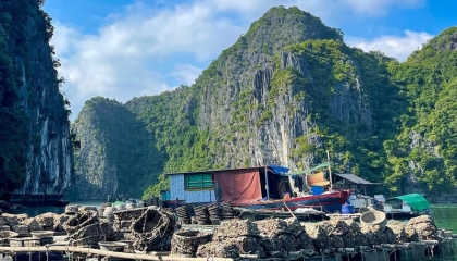 can-you-visit-both-bays-in-one-trip.jpg