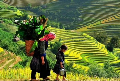 understanding-the-ethnic-tribes-of-sapa-a-respectful-guide.jpg
