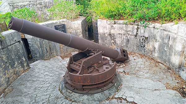 Cannon Fort - Cannon 2