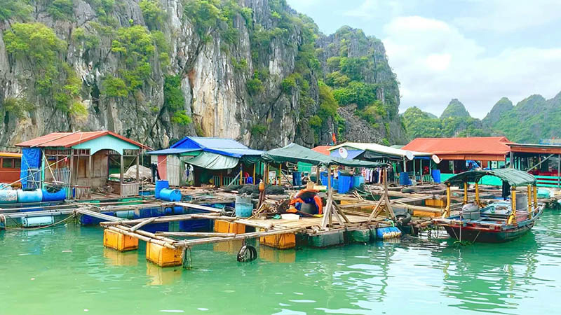Cai Beo Fishing village