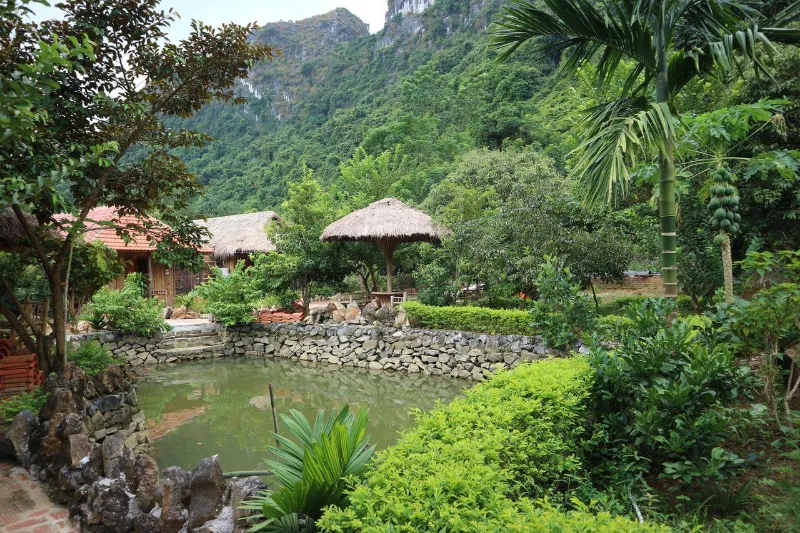 Lân homestay Cát Bà