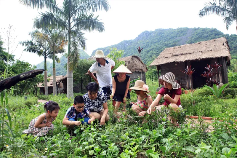 Trekking through Cat ba national park to Viet Hai village