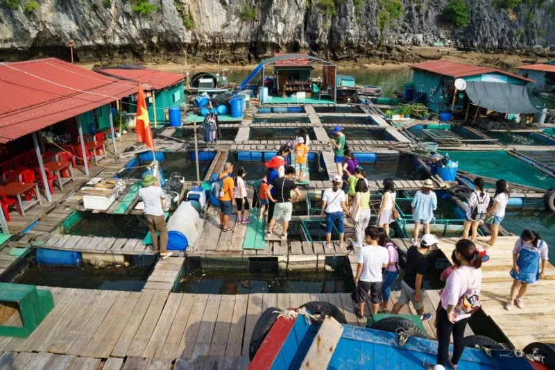 Cai Beo Fishing Village