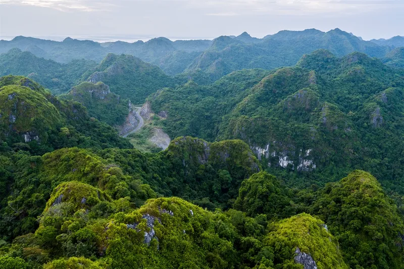 Cat Ba national park