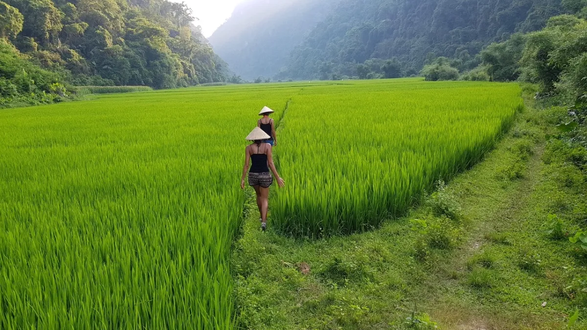 Beka Travel