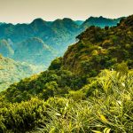 Ngu Lam Peak in Cat Ba national park