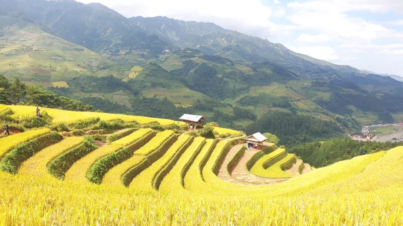 Ruộng bậc thang