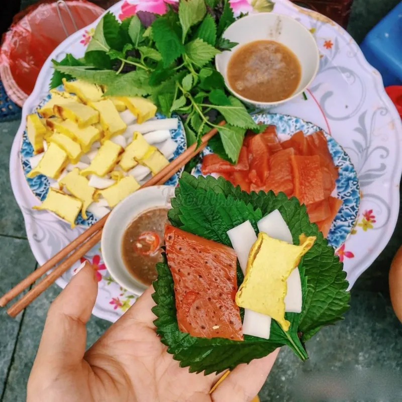 Sứa