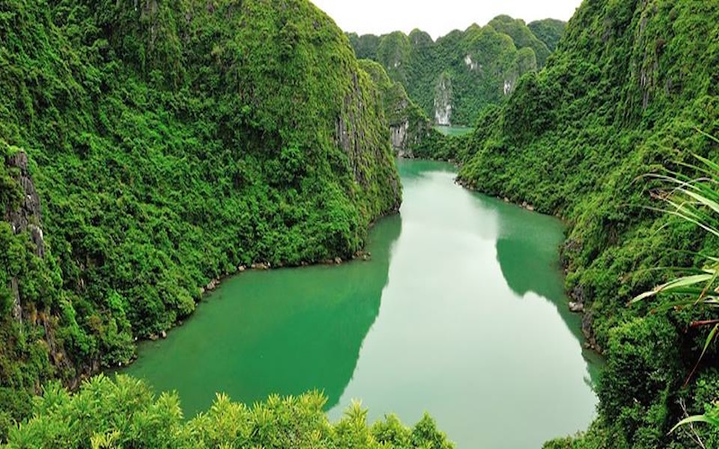 Khu dự trữ sinh quyển Cát Bà