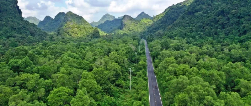 How to get to Cat Ba national park