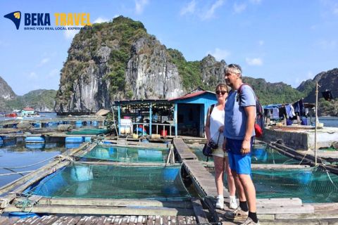 Useful Travel Tips for Cat Ba Tours